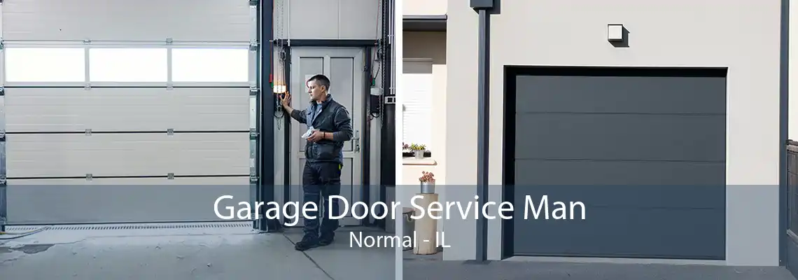 Garage Door Service Man Normal - IL