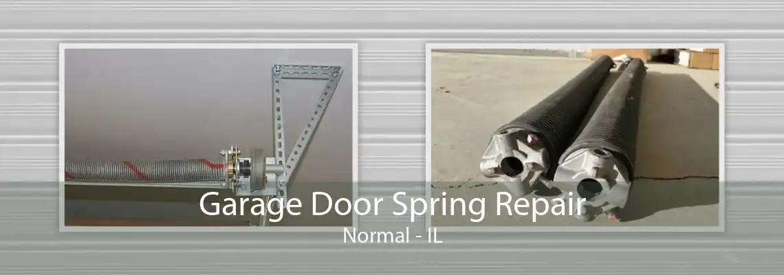 Garage Door Spring Repair Normal - IL