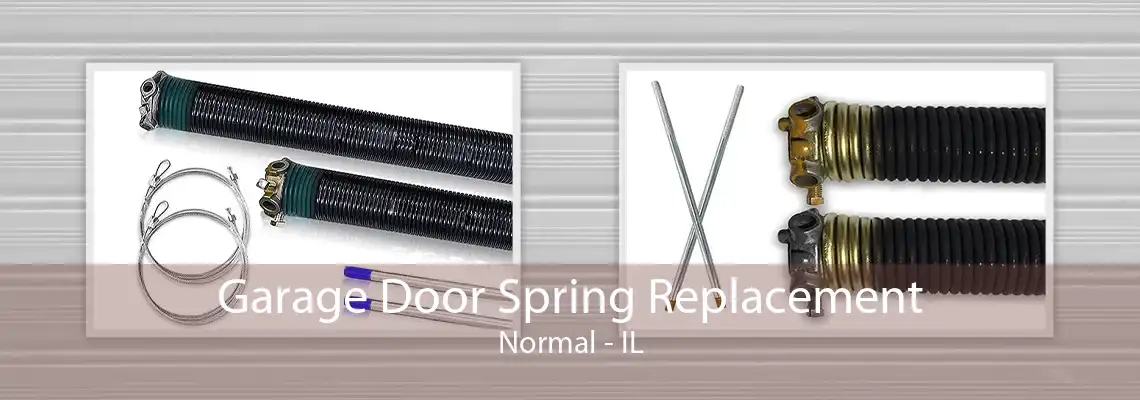 Garage Door Spring Replacement Normal - IL