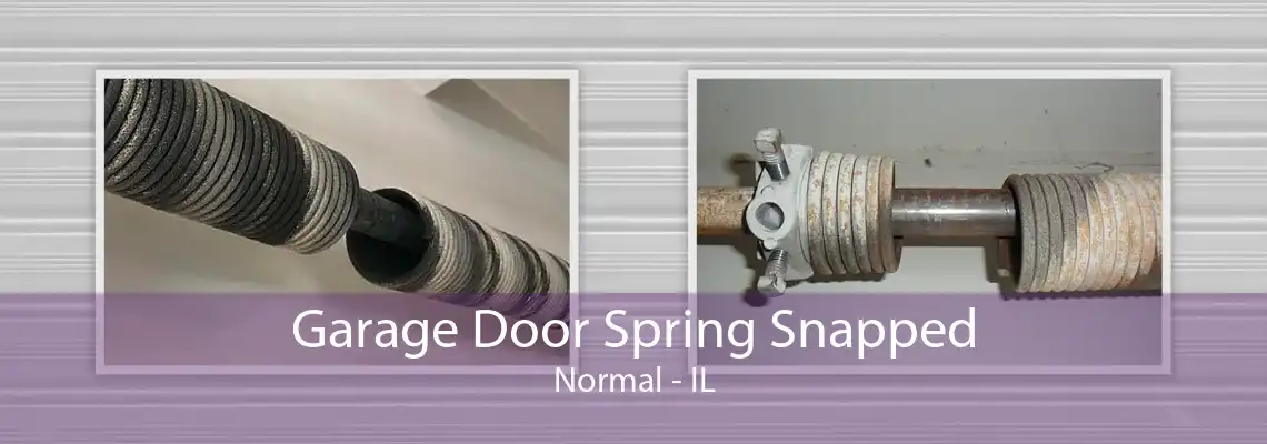 Garage Door Spring Snapped Normal - IL