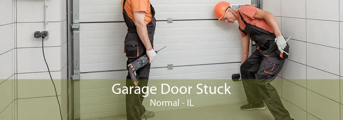 Garage Door Stuck Normal - IL