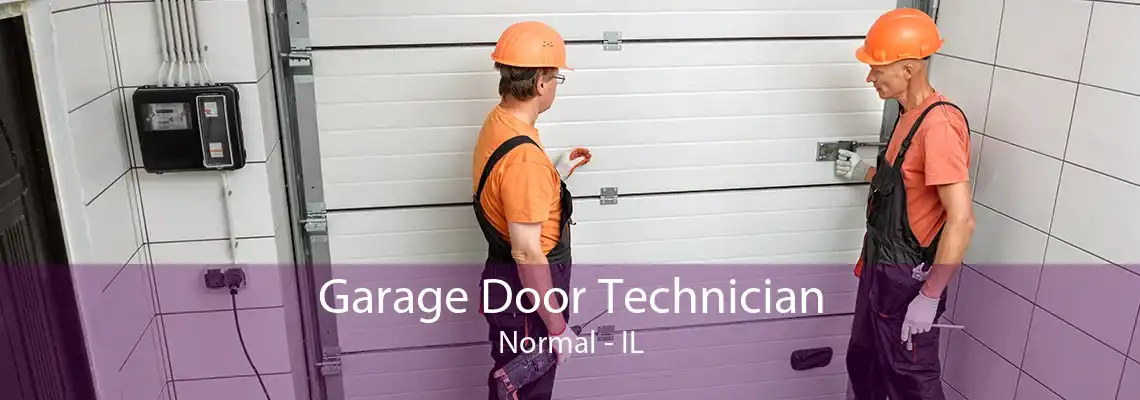 Garage Door Technician Normal - IL