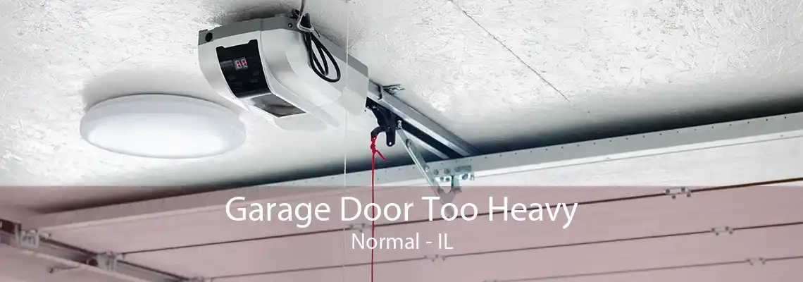 Garage Door Too Heavy Normal - IL