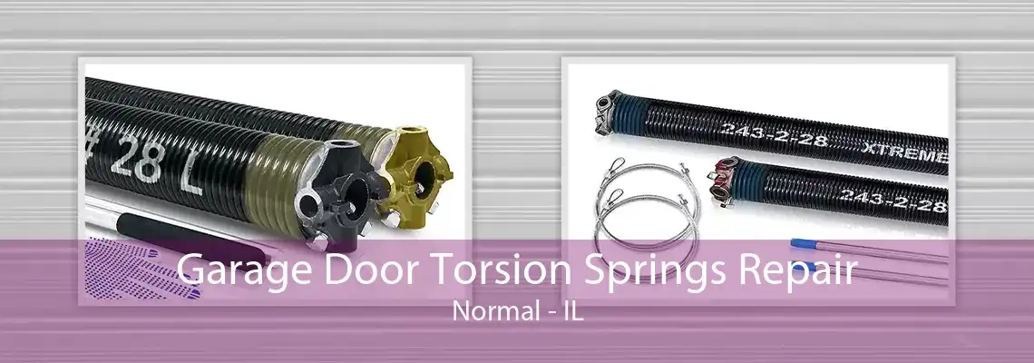 Garage Door Torsion Springs Repair Normal - IL