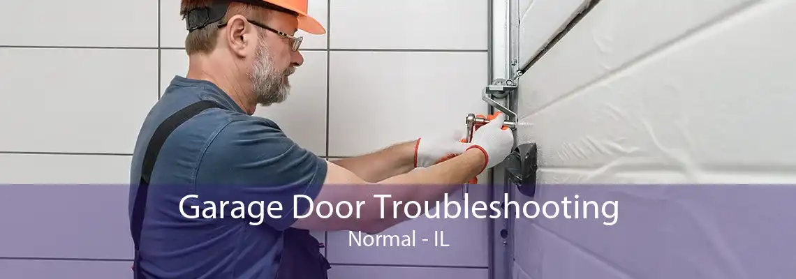 Garage Door Troubleshooting Normal - IL