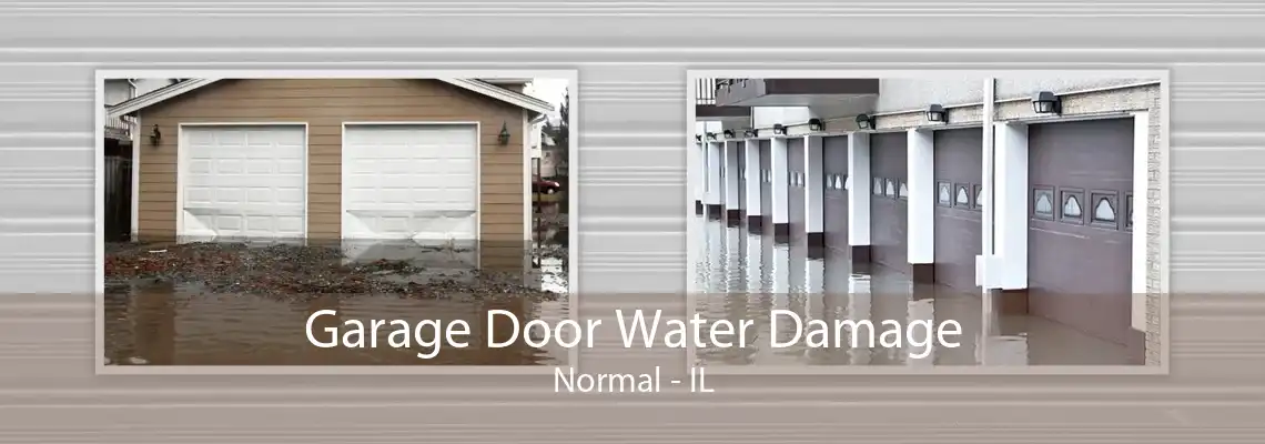 Garage Door Water Damage Normal - IL