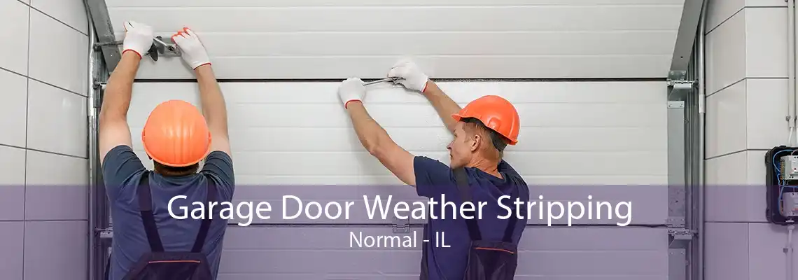 Garage Door Weather Stripping Normal - IL