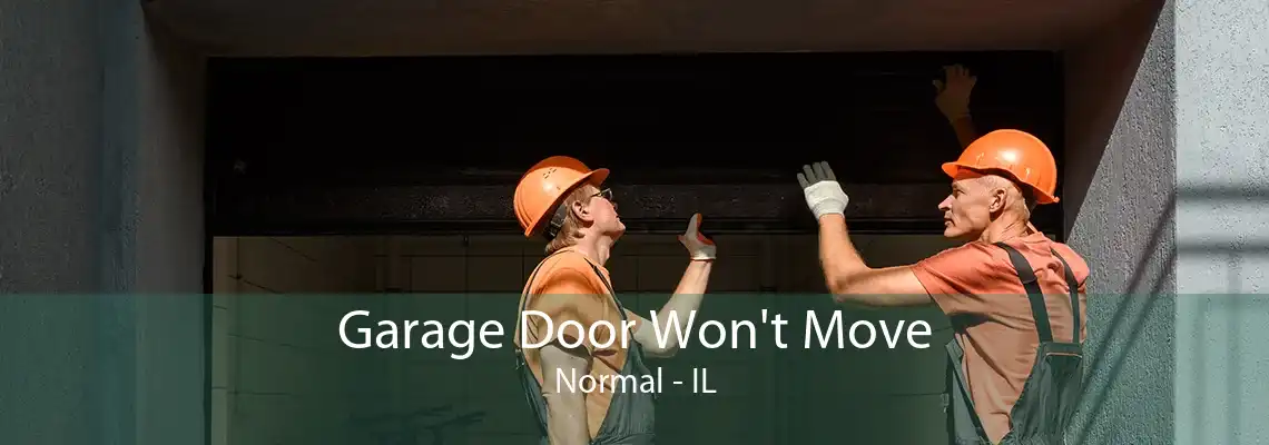 Garage Door Won't Move Normal - IL