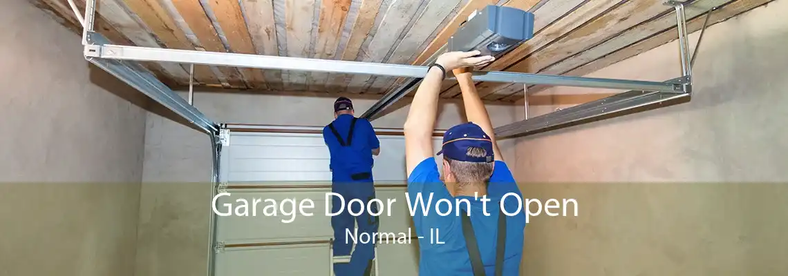 Garage Door Won't Open Normal - IL