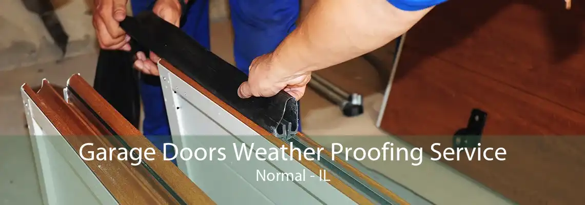 Garage Doors Weather Proofing Service Normal - IL