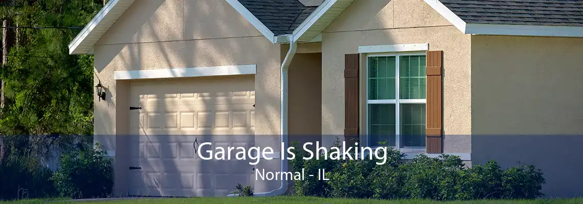 Garage Is Shaking Normal - IL