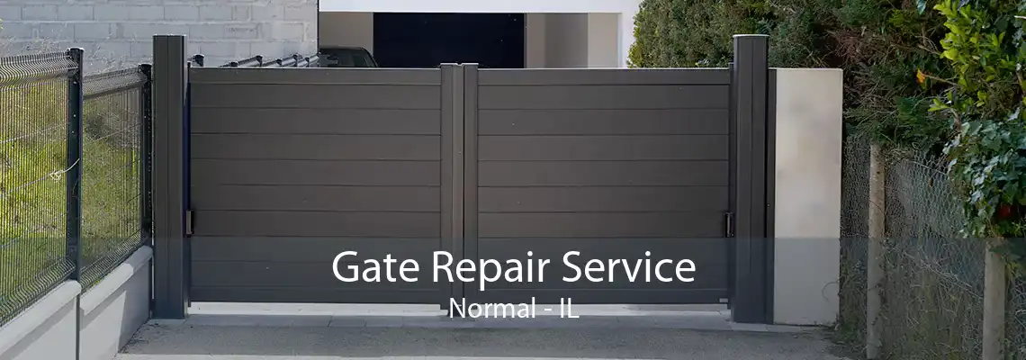 Gate Repair Service Normal - IL