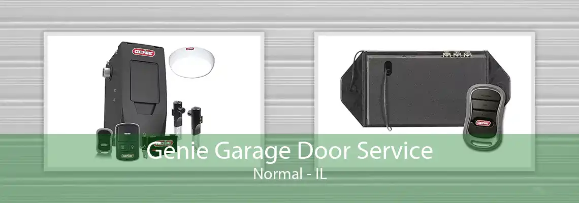 Genie Garage Door Service Normal - IL