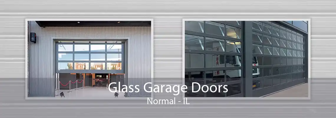 Glass Garage Doors Normal - IL