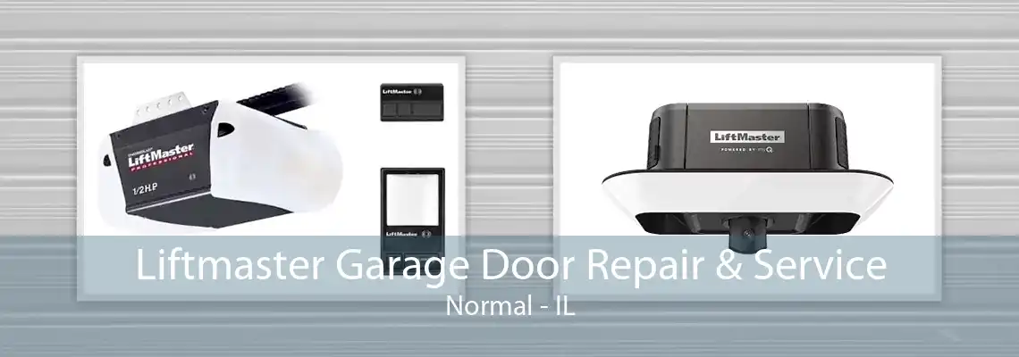 Liftmaster Garage Door Repair & Service Normal - IL