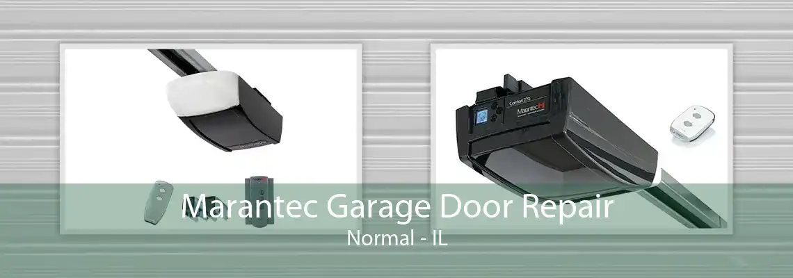 Marantec Garage Door Repair Normal - IL