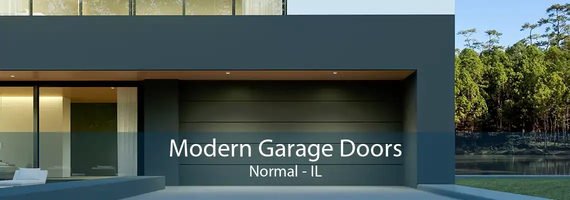 Modern Garage Doors Normal - IL