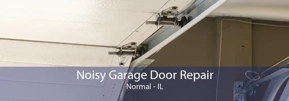 Noisy Garage Door Repair Normal - IL