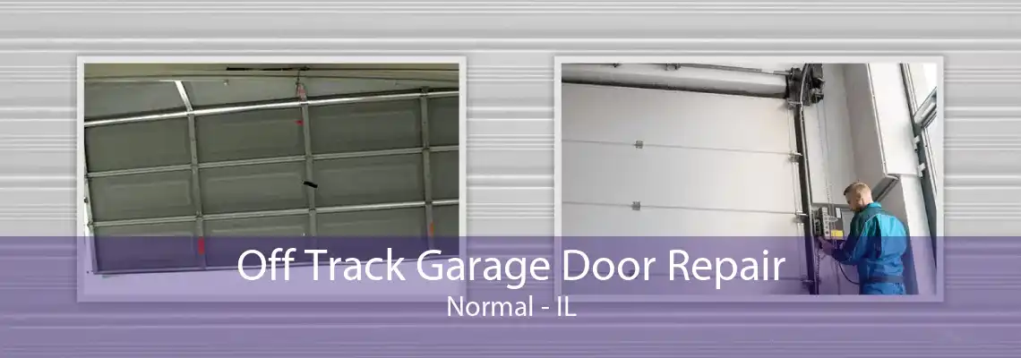 Off Track Garage Door Repair Normal - IL