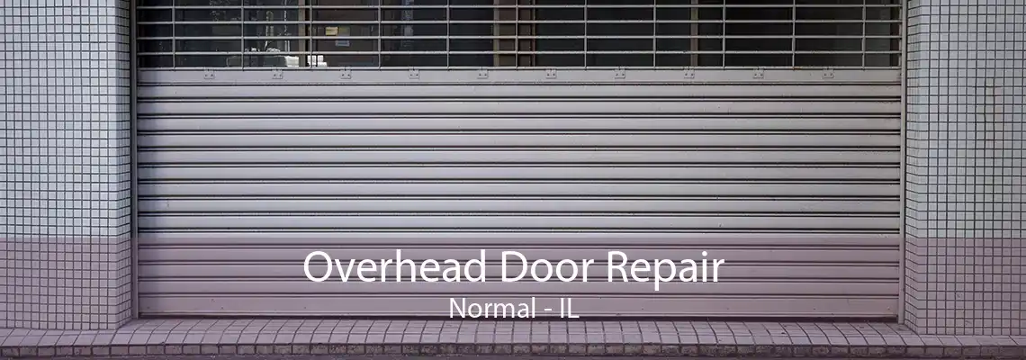 Overhead Door Repair Normal - IL