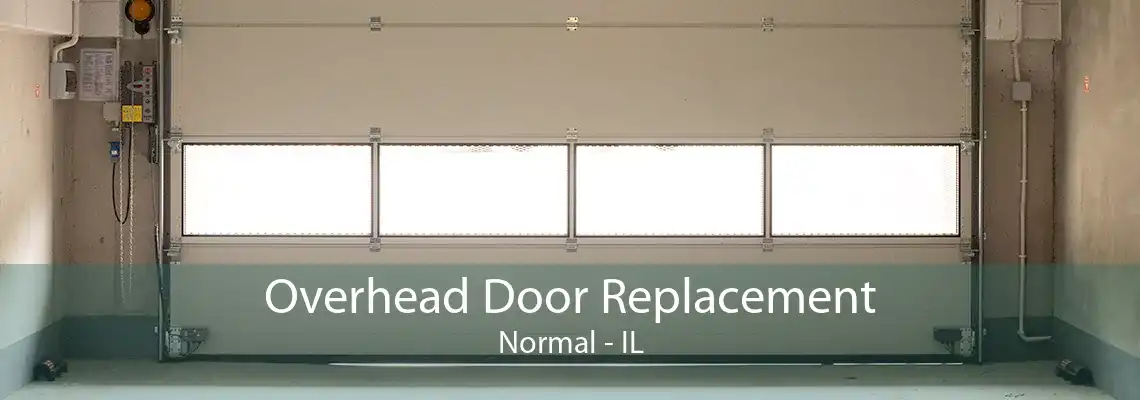 Overhead Door Replacement Normal - IL