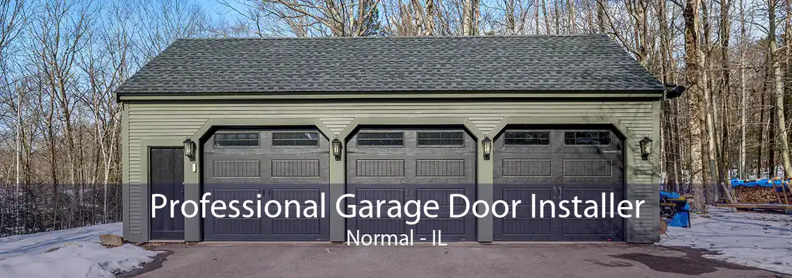 Professional Garage Door Installer Normal - IL