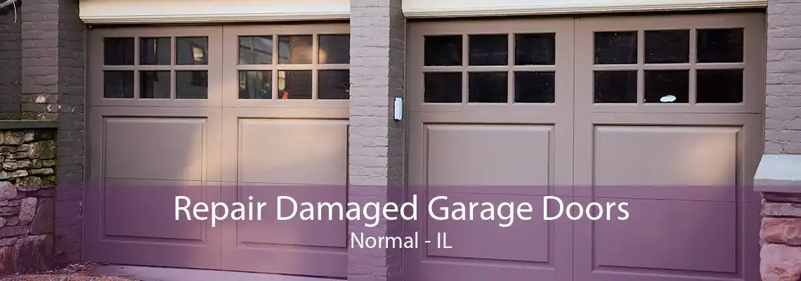 Repair Damaged Garage Doors Normal - IL