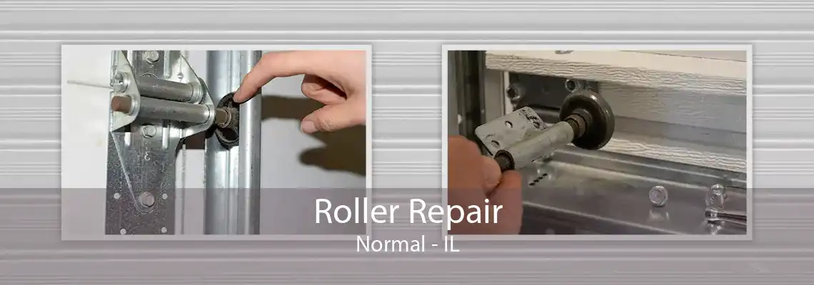 Roller Repair Normal - IL