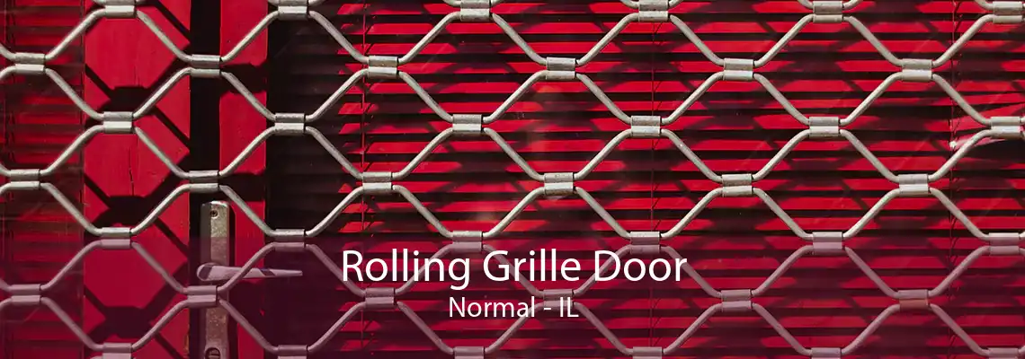 Rolling Grille Door Normal - IL