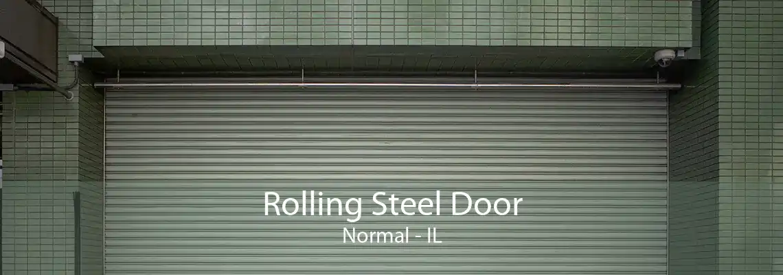 Rolling Steel Door Normal - IL