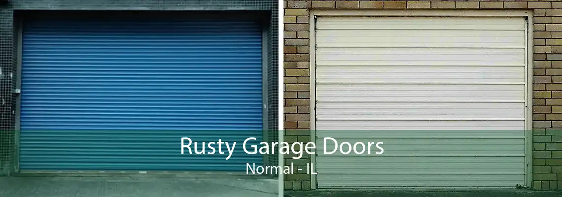 Rusty Garage Doors Normal - IL