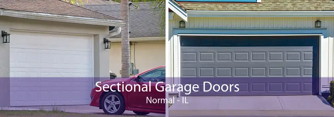 Sectional Garage Doors Normal - IL