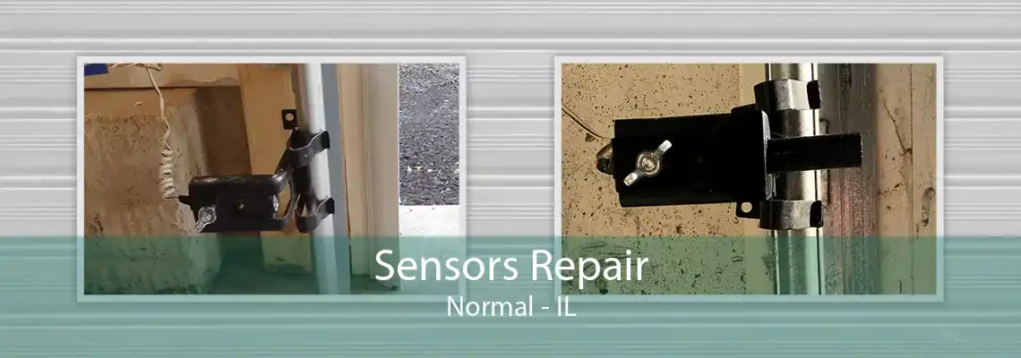 Sensors Repair Normal - IL