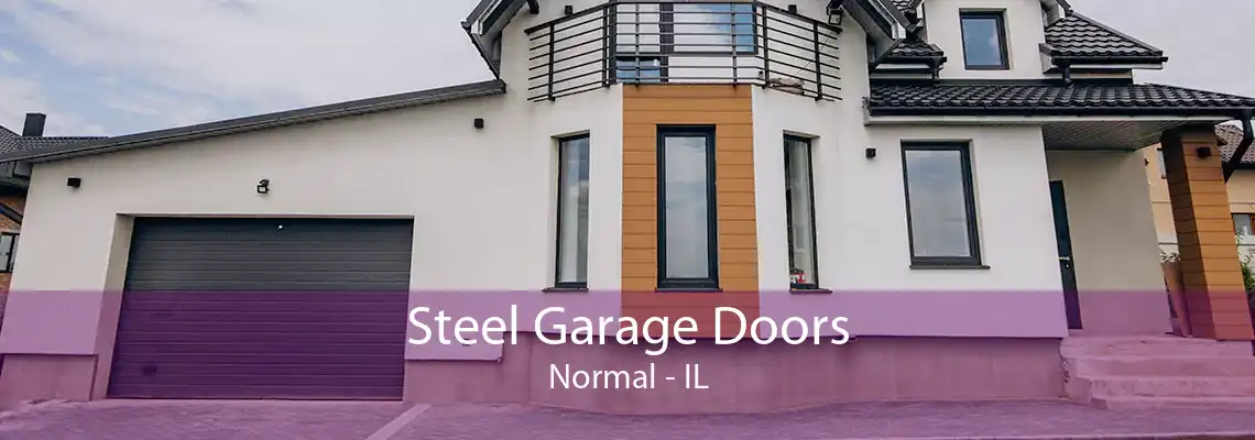 Steel Garage Doors Normal - IL