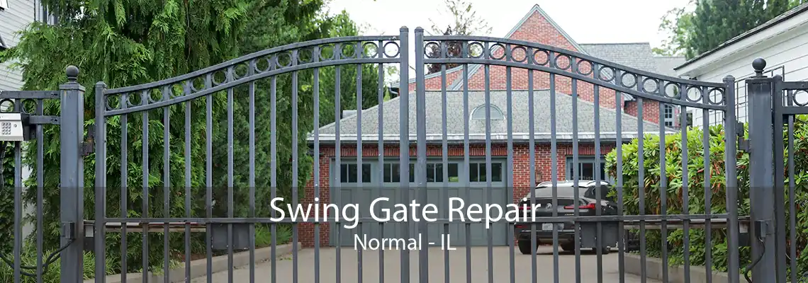 Swing Gate Repair Normal - IL